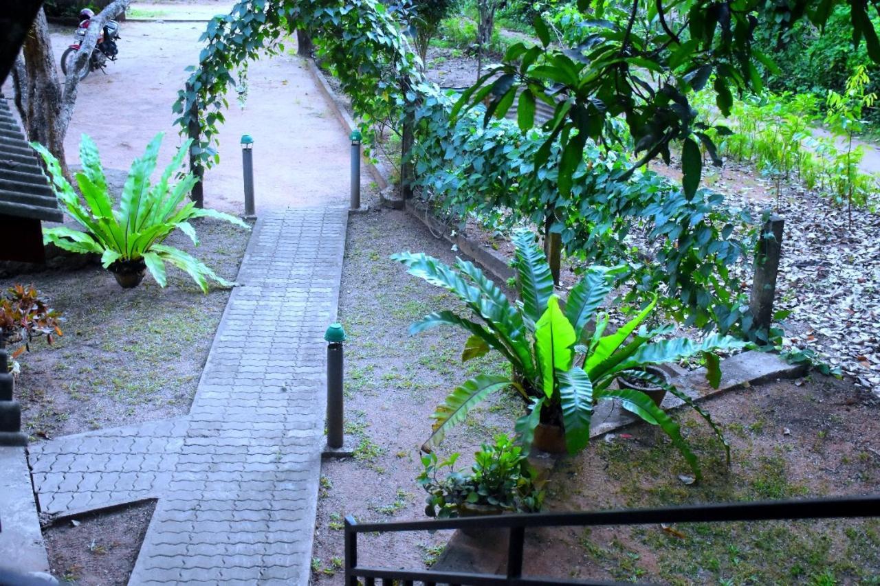 Hotel Wild Heaven Udawalawe Esterno foto