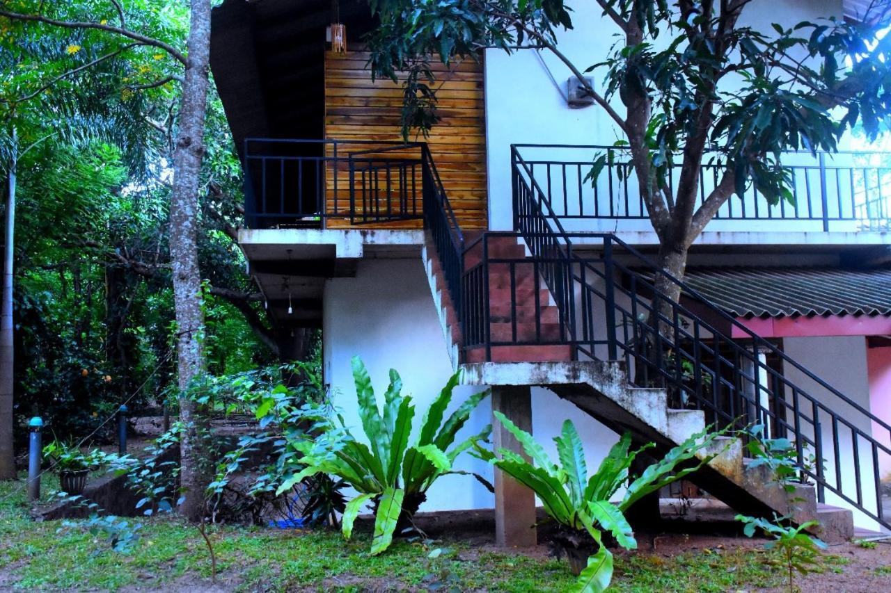 Hotel Wild Heaven Udawalawe Esterno foto