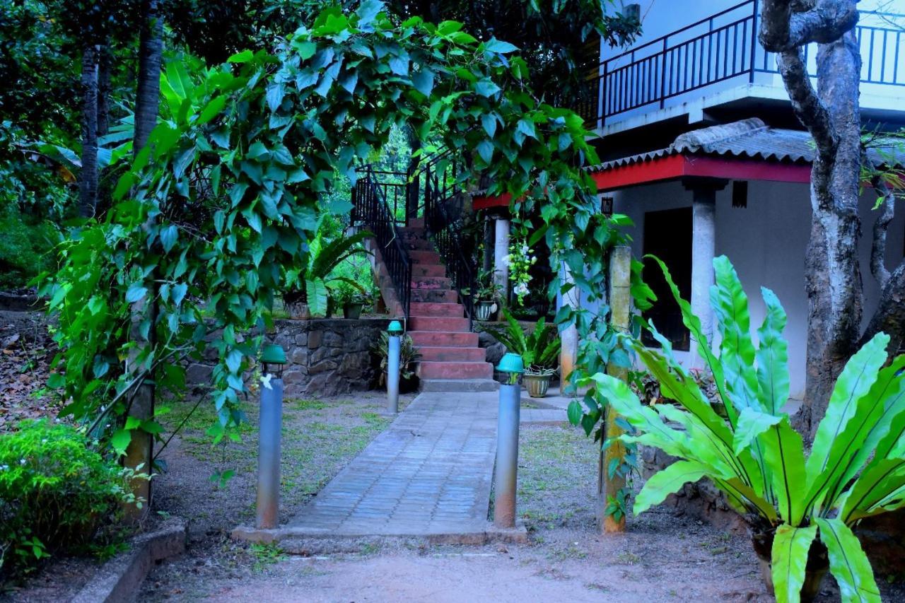 Hotel Wild Heaven Udawalawe Esterno foto