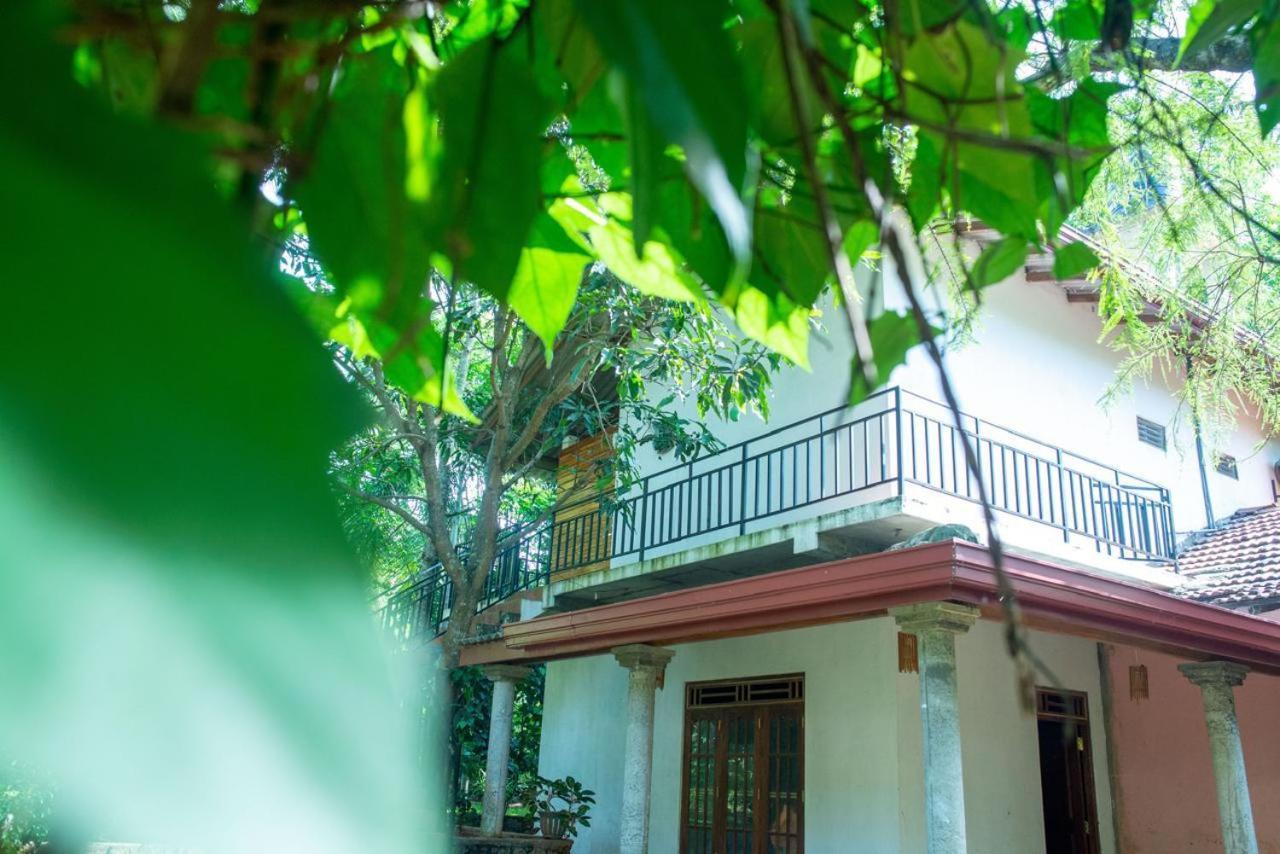 Hotel Wild Heaven Udawalawe Esterno foto