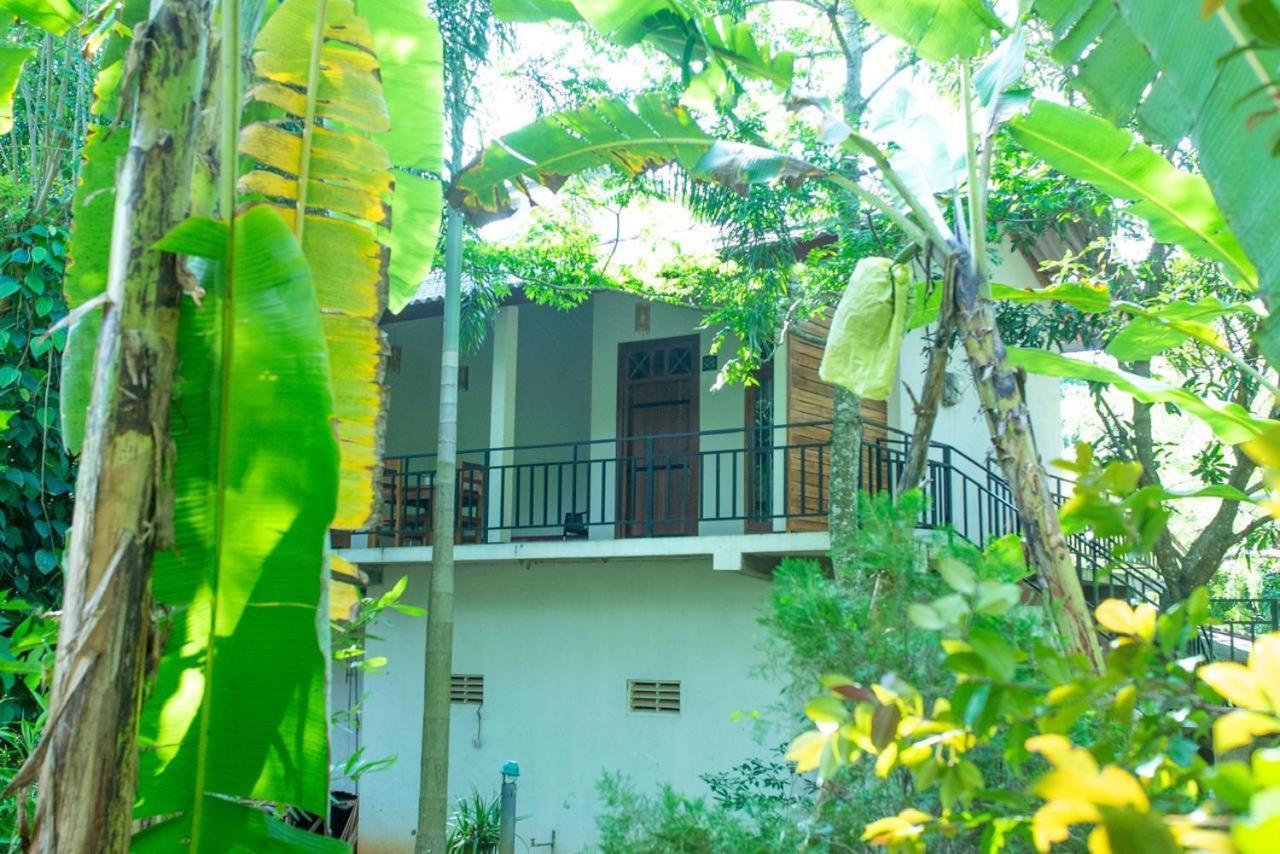 Hotel Wild Heaven Udawalawe Esterno foto