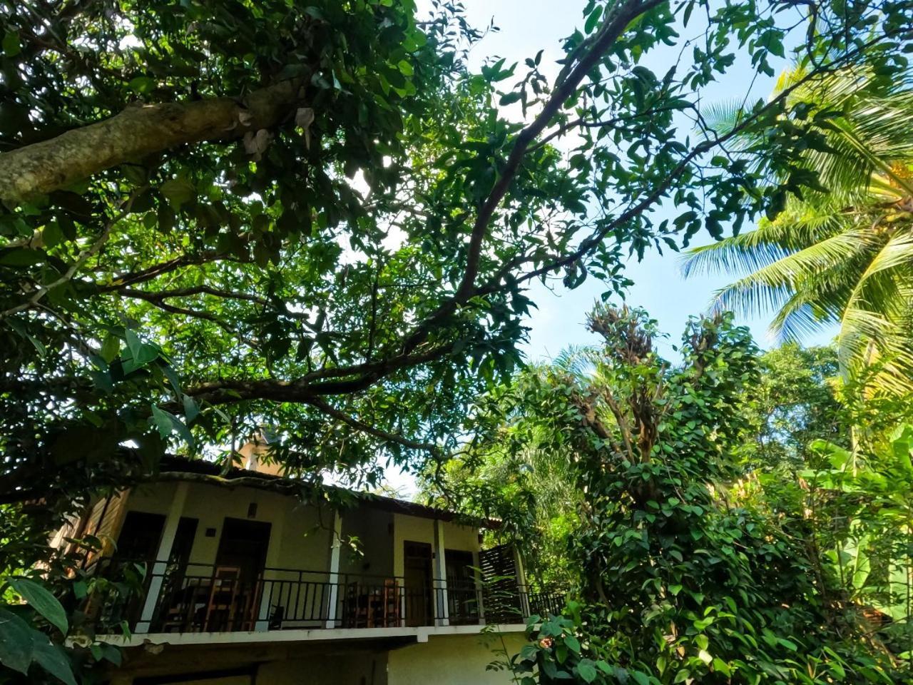 Hotel Wild Heaven Udawalawe Esterno foto