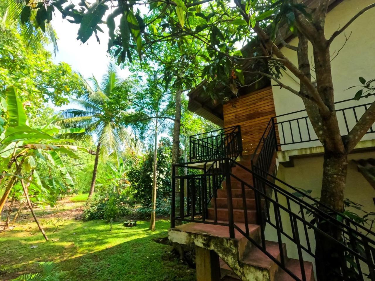 Hotel Wild Heaven Udawalawe Esterno foto