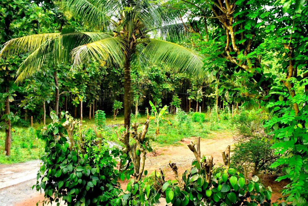 Hotel Wild Heaven Udawalawe Esterno foto