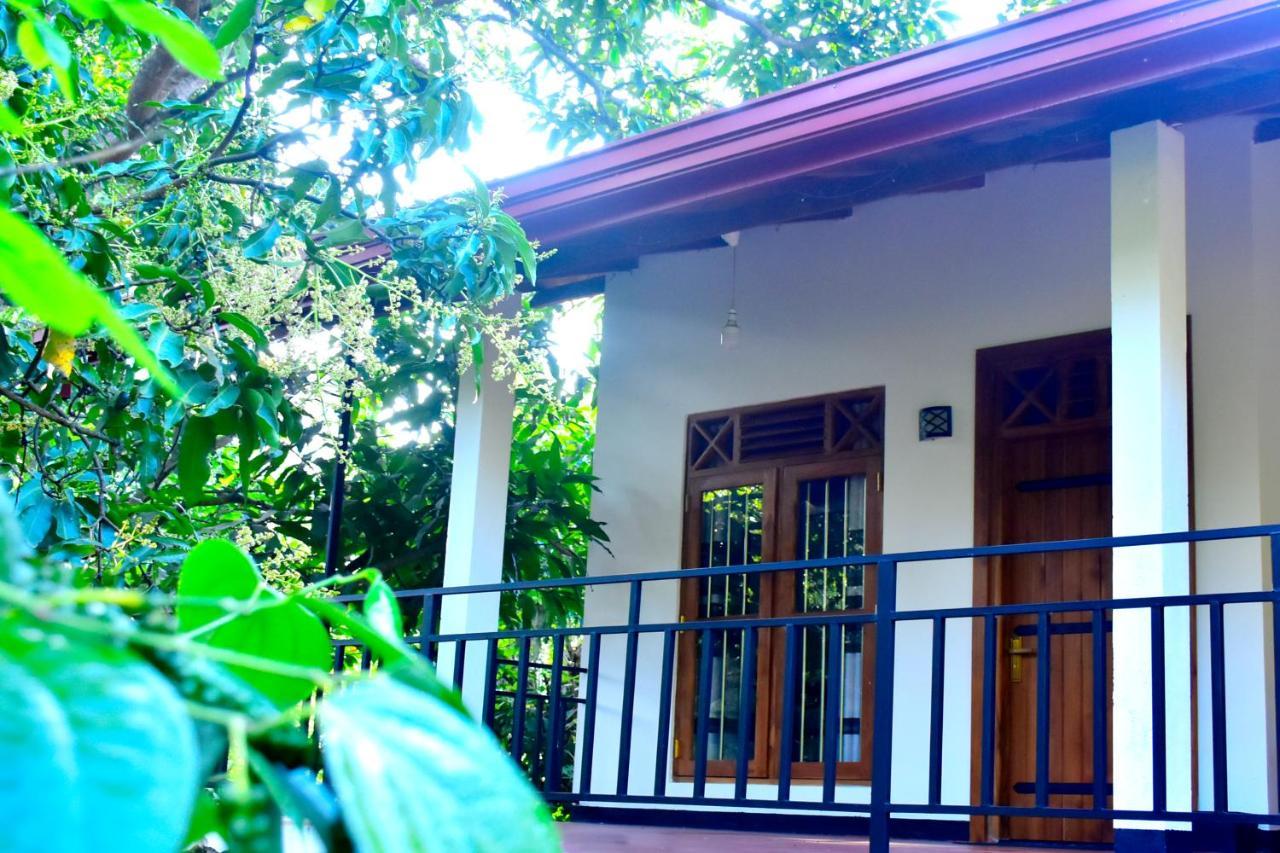 Hotel Wild Heaven Udawalawe Esterno foto